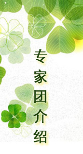 國(guó)投力信專家團(tuán)介紹